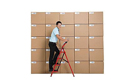 《命运2》现已加入跨平台联机语音聊天